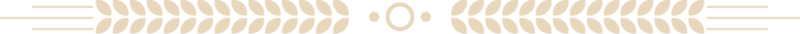 21a3390e74b61f95390e03aace8237b9.png
