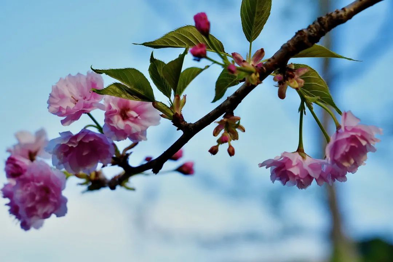 a4c91483fe357d453a1f9eae6c742158.jpg