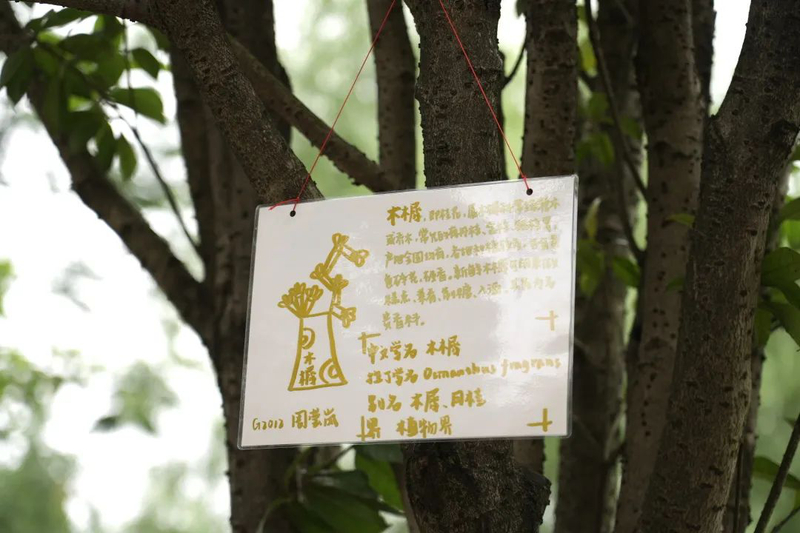 a5816ca65381ae80188301d80adacfec.jpg